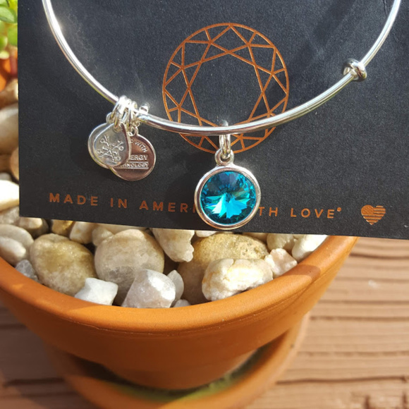 Alex and Ani Jewelry - Alex and Ani | December Birth Month Charm Bangle